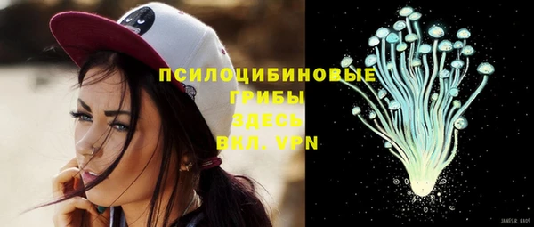mdpv Вяземский
