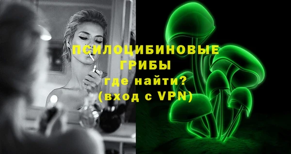 mdpv Вяземский