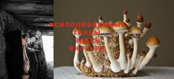 хмурый Вязьма
