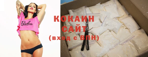 mdpv Вяземский