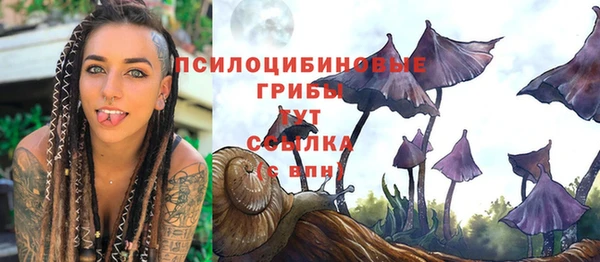 mdpv Вяземский