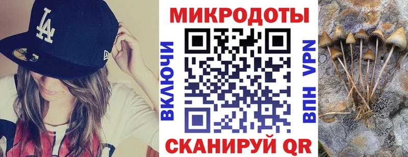 Псилоцибиновые грибы GOLDEN TEACHER  Купить где  Касли 