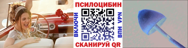 Псилоцибиновые грибы Psilocybe Касли